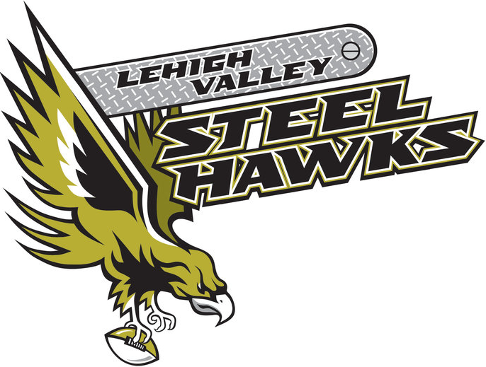 Lehigh Valley Steelhawks 2013-Pres Primary Logo diy iron on transfers for T-shirts